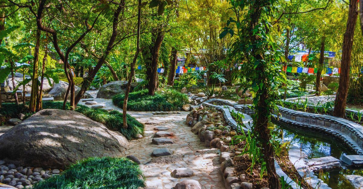 Experience the Magic of October in Dharamshala: Why October is the Best Month to Visit Dharamshala for Clear Skies, Vibrant Festivals, and Pleasant Weather!