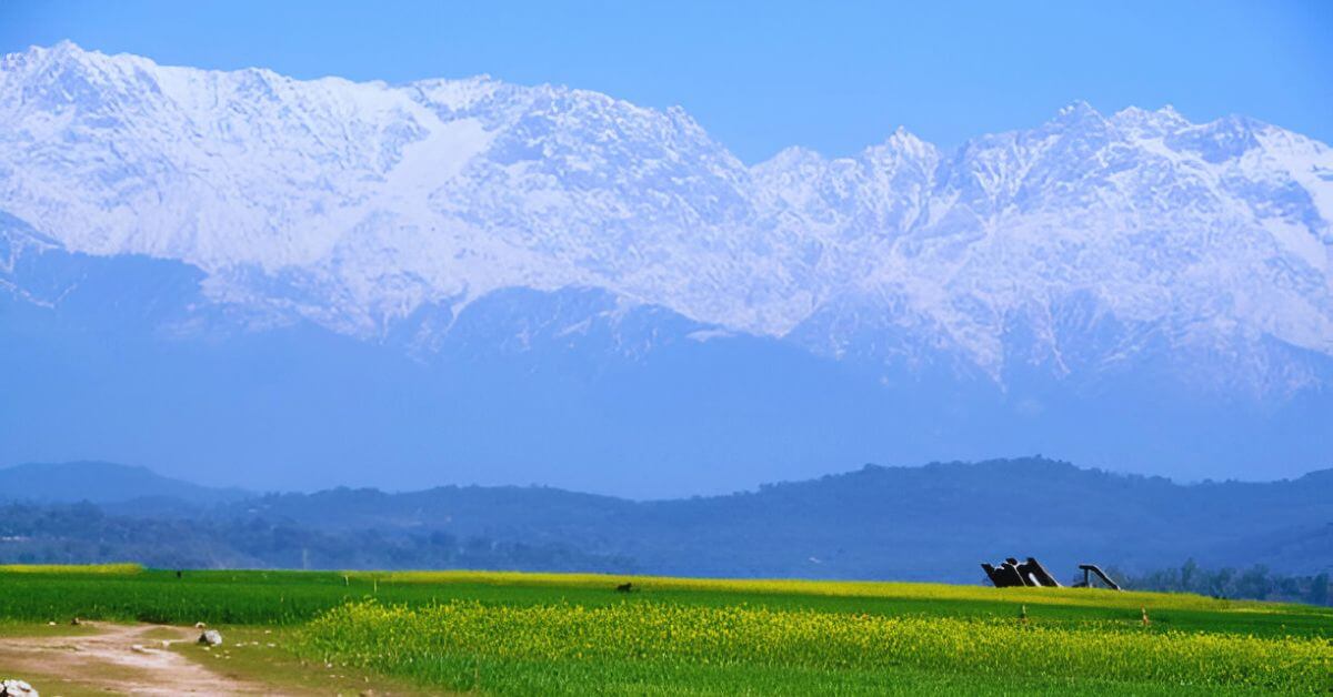 Escape to the serene beauty of Dharamshala this May and create memories that last a lifetime!