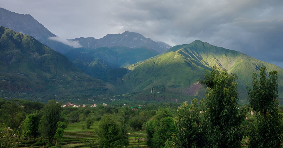 Discover The Ultimate Guide to Booking Resorts in Dharamshala for Destination Weddings - your go-to resource for finding the perfect venue nestled in the serene Himalayas. From luxurious amenities to stunning views, explore the best resorts for an unforgettable wedding experience in Dharamshala