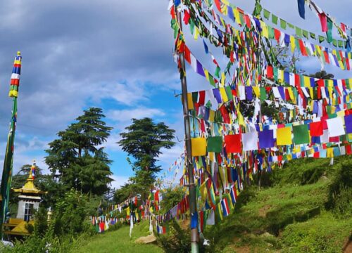 Dharamshala in May: Your Perfect Summer Escape in the Himalayas