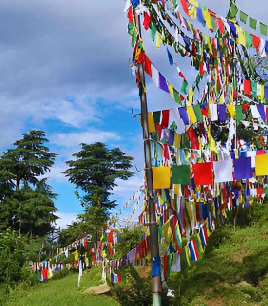 Dharamshala in May: Your Perfect Summer Escape in the Himalayas