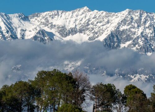 A Guide to Experiencing Snowfall in Dharamshala Like a Local