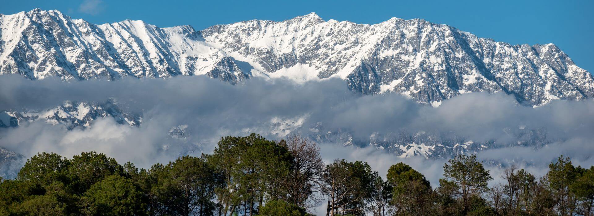 Experience the magic of snowfall in Dharamshala, where every flake turns the mountains into a winter wonderland!