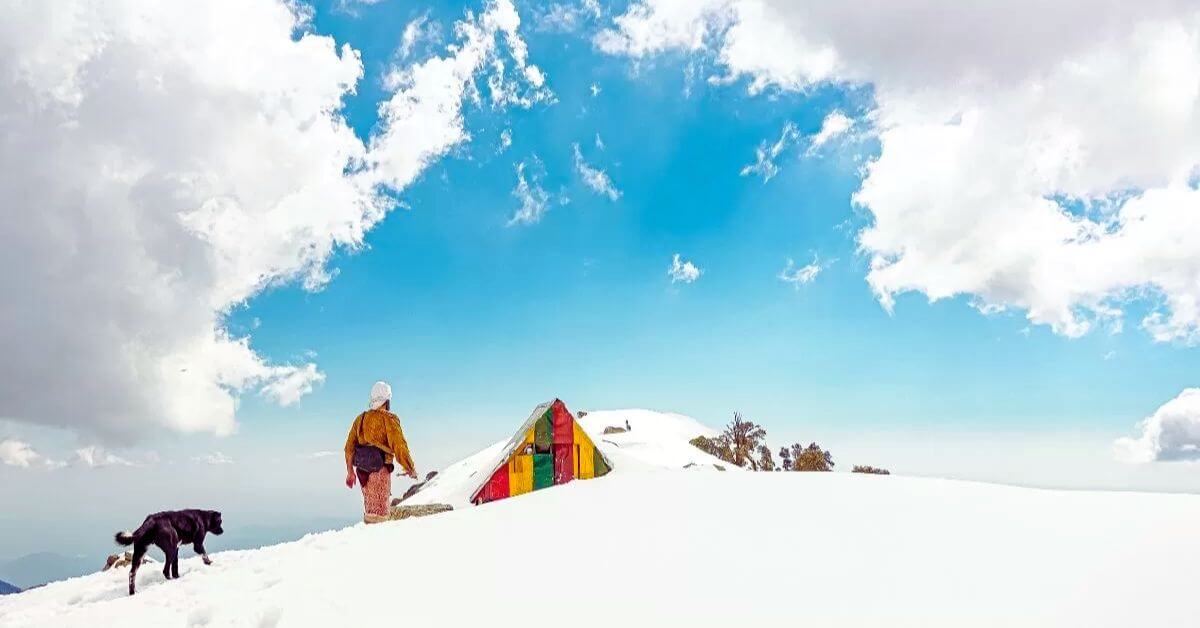 Experience the magic of snowfall in Dharamshala, where every flake turns the mountains into a winter wonderland!