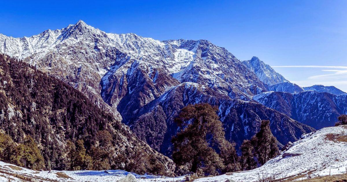 Experience the magic of snowfall in Dharamshala, where every flake turns the mountains into a winter wonderland!