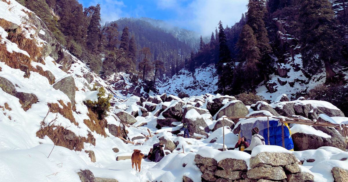 Experience the magic of snowfall in Dharamshala, where every flake turns the mountains into a winter wonderland!