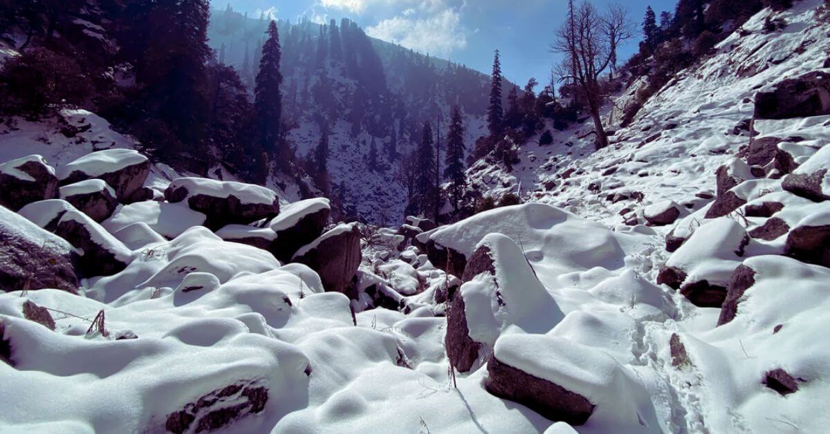 Experience the magic of snowfall in Dharamshala, where every flake turns the mountains into a winter wonderland!