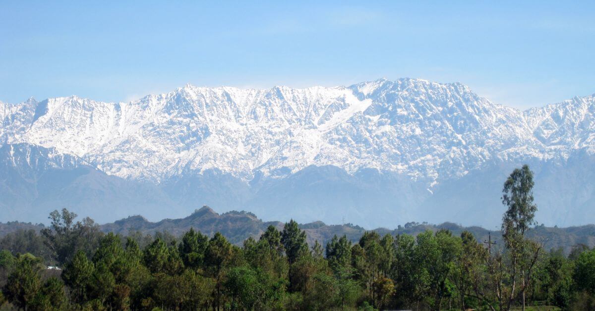 Top Reasons to Choose D'Polo Club & Spa Resort for Your Dharamshala Wedding: Unmatched views, luxurious venues, and impeccable service for your dream day!